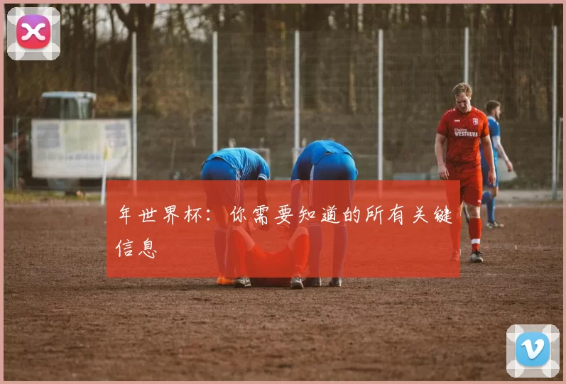 年世界杯:你需要知道的所有关键信息