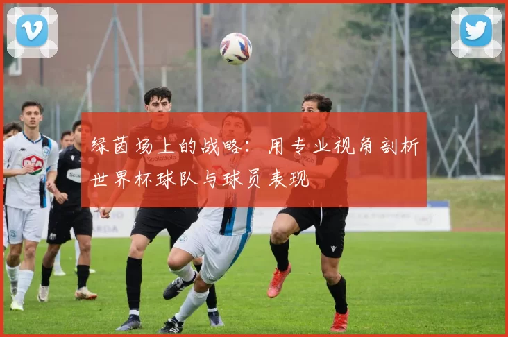 绿茵场上的战略:用专业视角剖析世界杯球队与球员表现