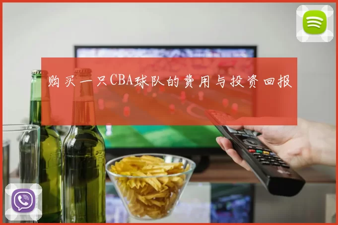 购买一只CBA球队的费用与投资回报