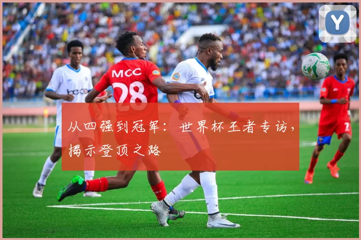 从四强到冠军:世界杯王者专访,揭示登顶之路