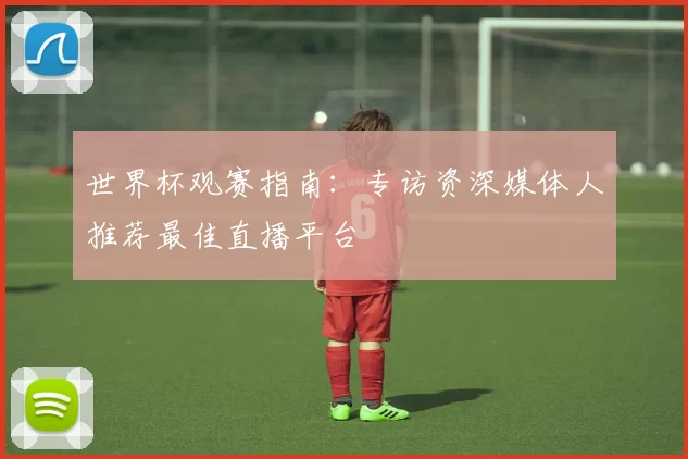 世界杯观赛指南:专访资深媒体人推荐最佳直播平台