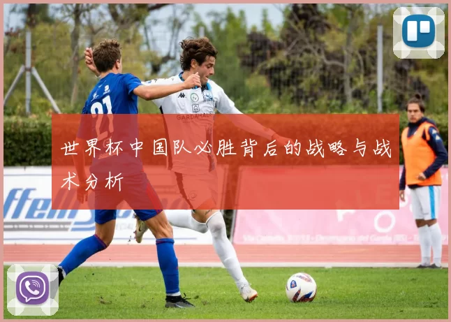 世界杯中国队必胜背后的战略与战术分析