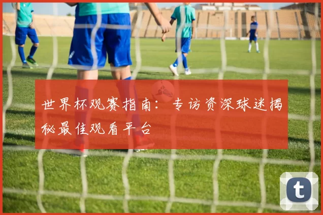 世界杯观赛指南:专访资深球迷揭秘最佳观看平台