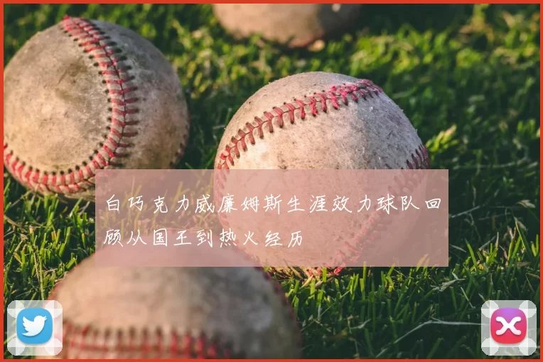 白巧克力威廉姆斯生涯效力球队回顾从国王到热火经历
