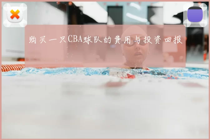 购买一只CBA球队的费用与投资回报