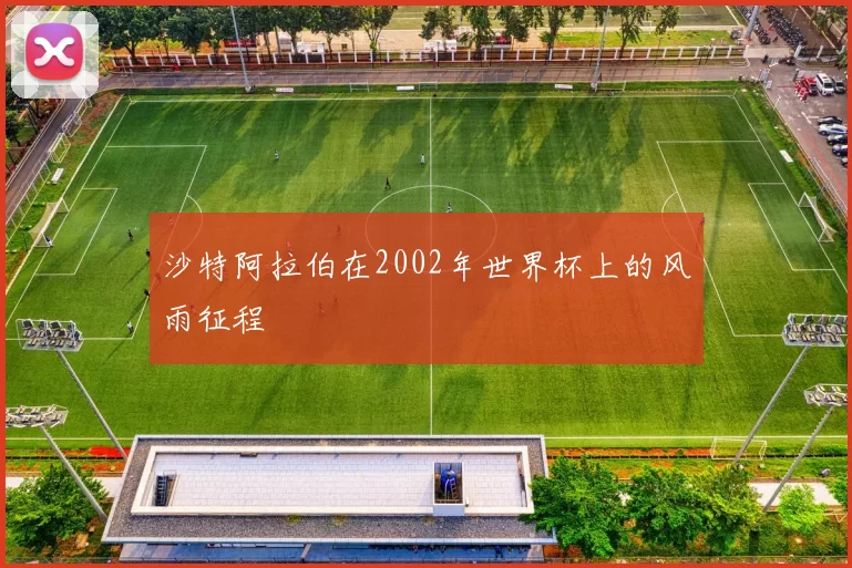 沙特阿拉伯在2002年世界杯上的风雨征程