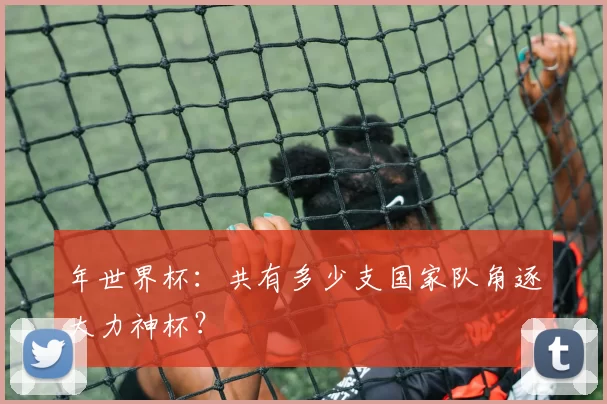 年世界杯:共有多少支国家队角逐大力神杯?