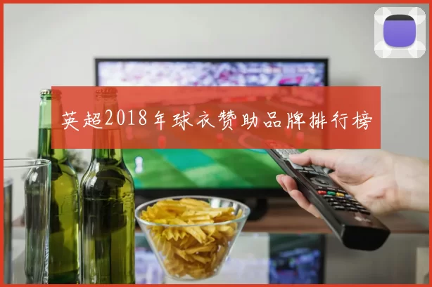 英超2018年球衣赞助品牌排行榜