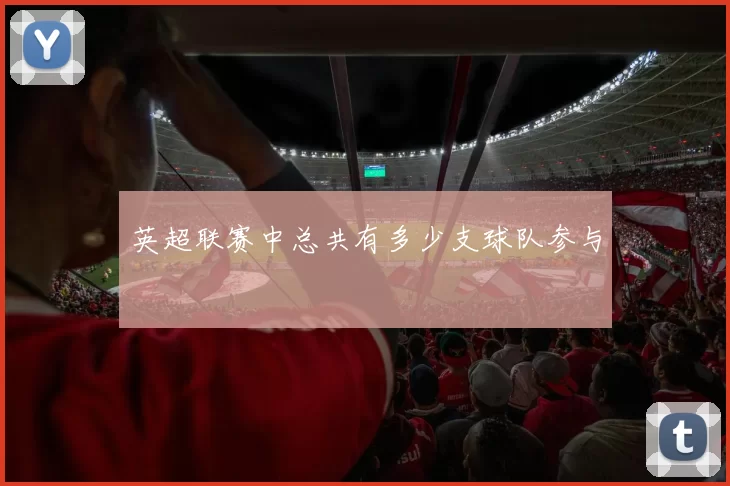 英超联赛中总共有多少支球队参与