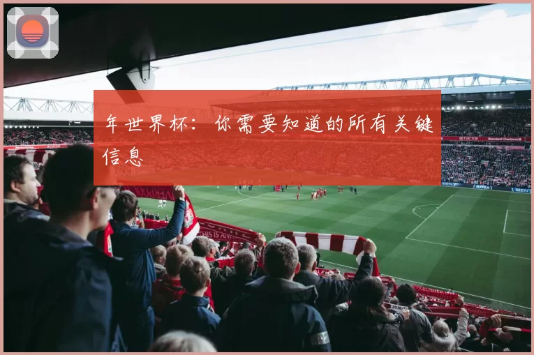 年世界杯：你需要知道的所有关键信息