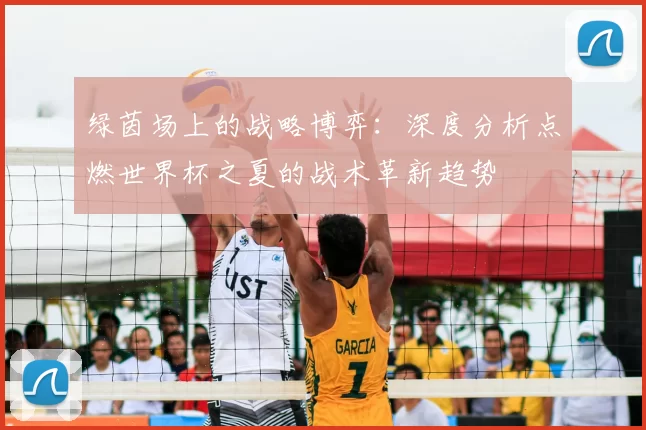 绿茵场上的战略博弈:深度分析点燃世界杯之夏的战术革新趋势
