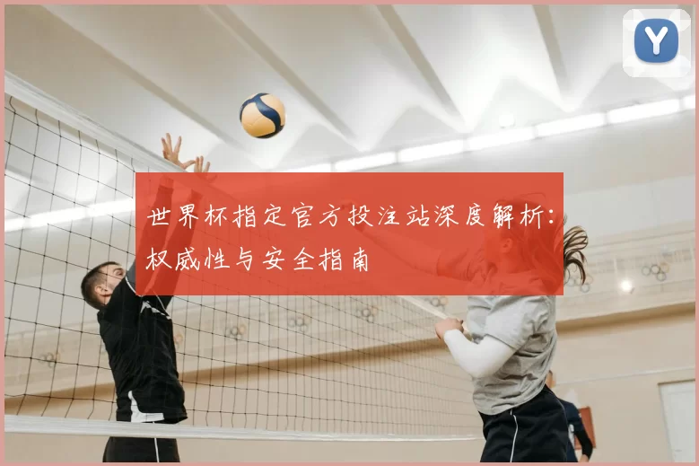 世界杯指定官方投注站深度解析：权威性与安全指南