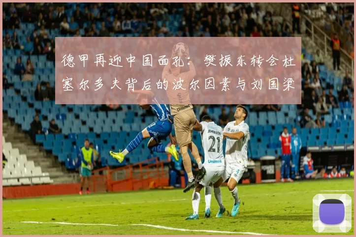 德甲再迎中国面孔:樊振东转会杜塞尔多夫背后的波尔因素与刘国梁的远见
