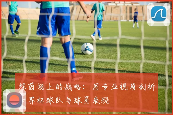 绿茵场上的战略:用专业视角剖析世界杯球队与球员表现