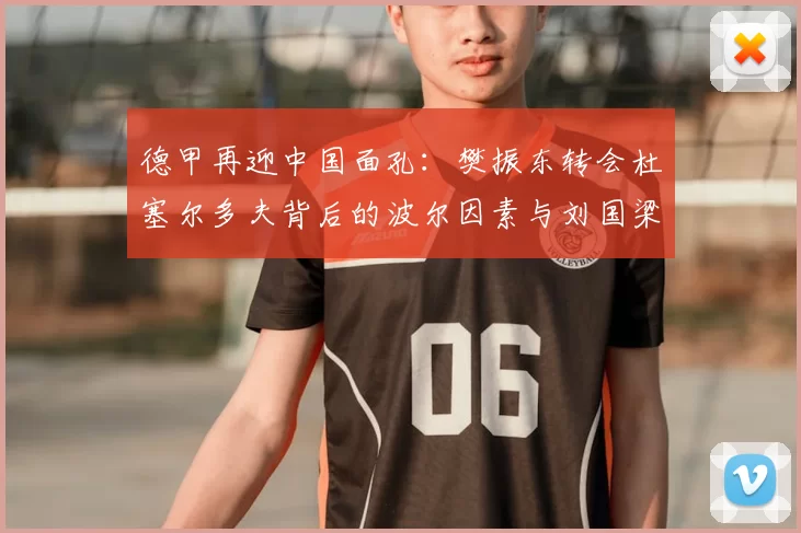 德甲再迎中国面孔：樊振东转会杜塞尔多夫背后的波尔因素与刘国梁的远见