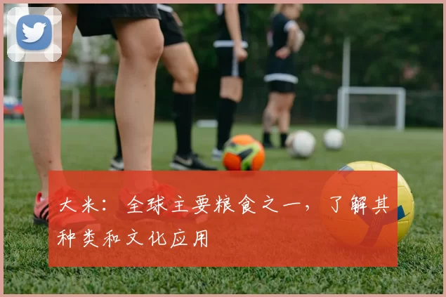 大米:全球主要粮食之一,了解其种类和文化应用
