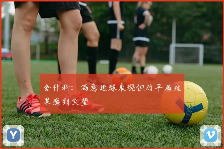舍什科:满意进球表现但对平局结果感到失望