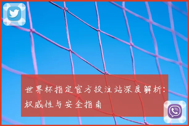 世界杯指定官方投注站深度解析:权威性与安全指南