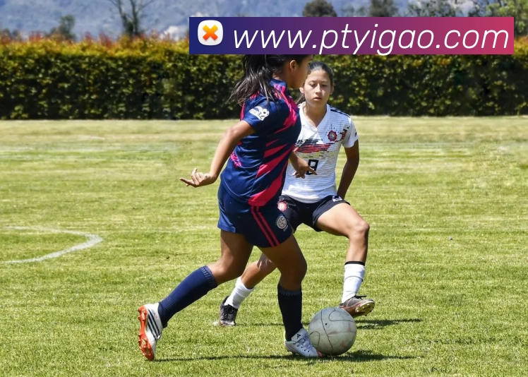 华体会体育品牌故事